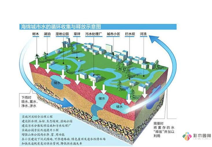 海綿城市建設(shè)理念下的市政道路設(shè)計技術(shù)指導(dǎo)